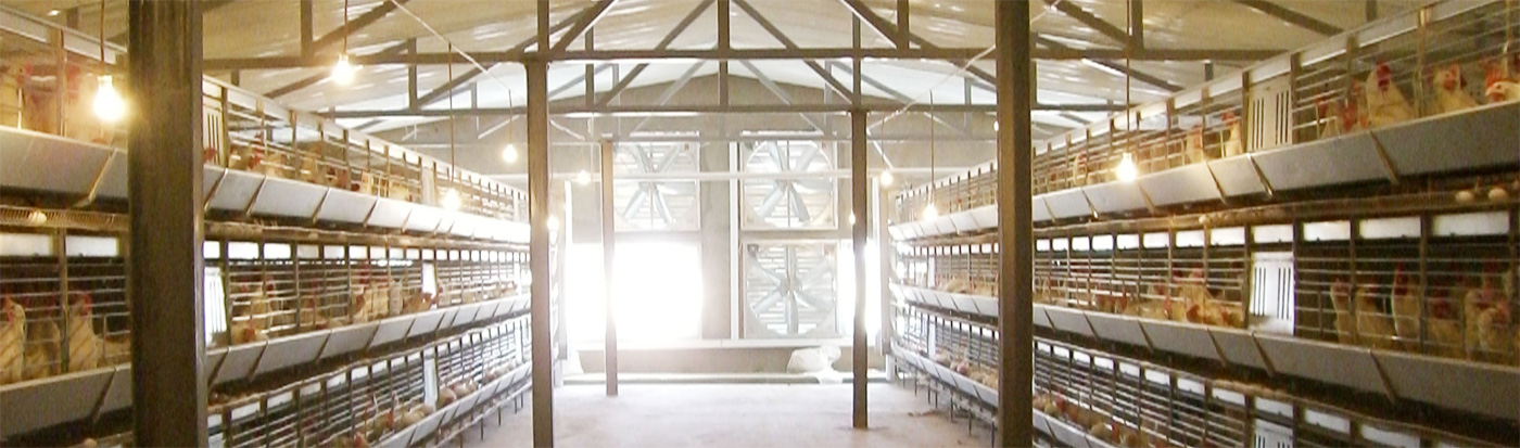 Climate Controled Houses