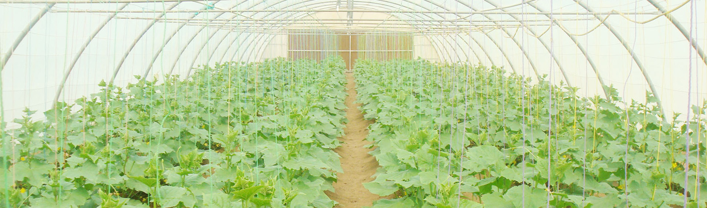 Greenhouses