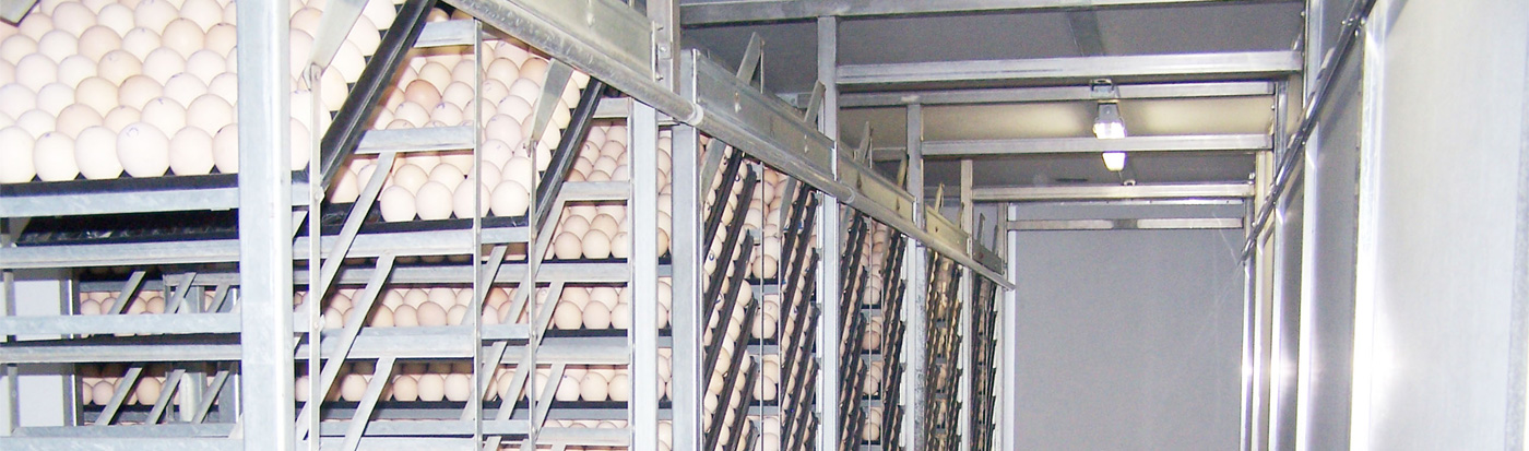 Fully-Automated Hatching System